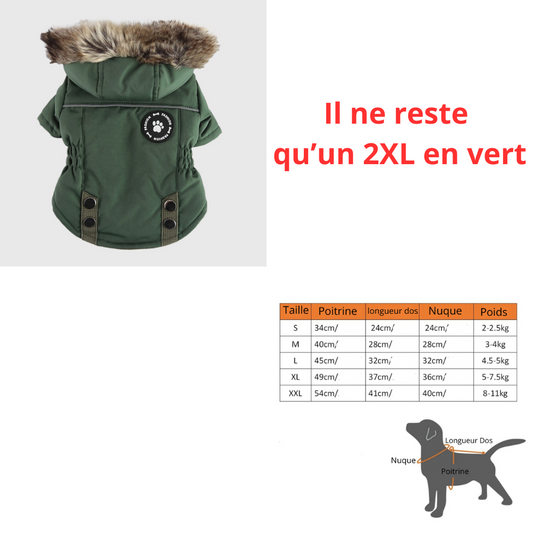 manteaux et pulls destockage - Paradis Chien