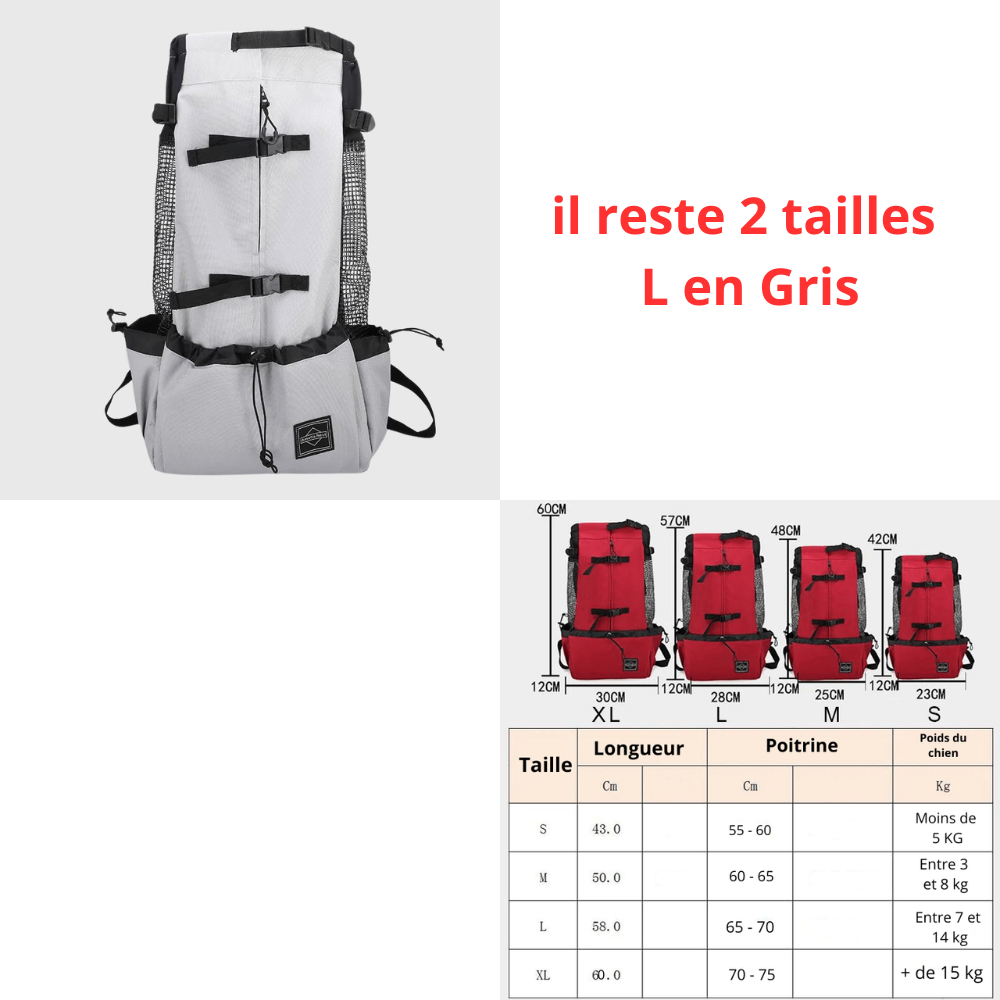 Sac moto pour chien destockage