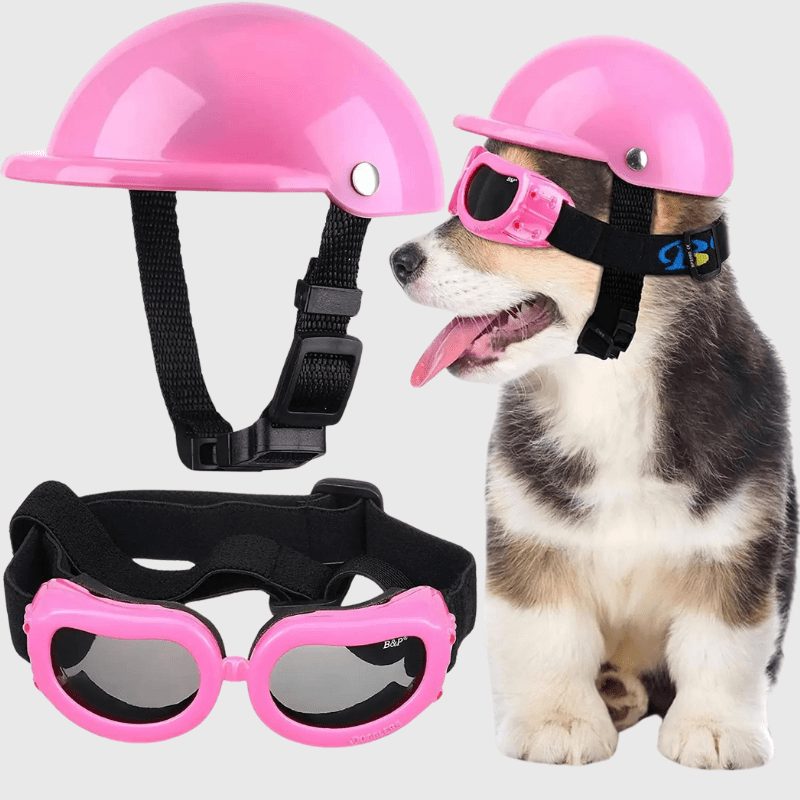 Casque de moto blanc ou noir ou rose pour chien rose