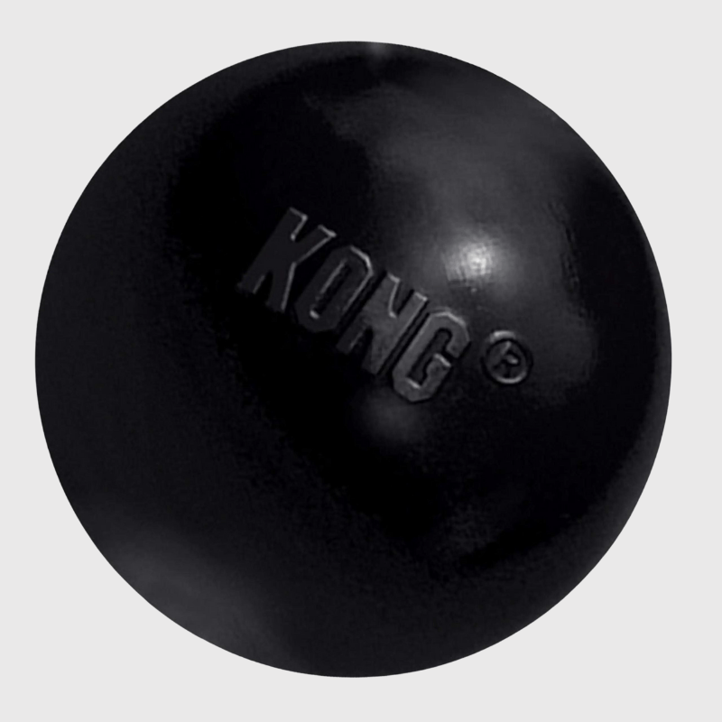 Balle Kong pour chien