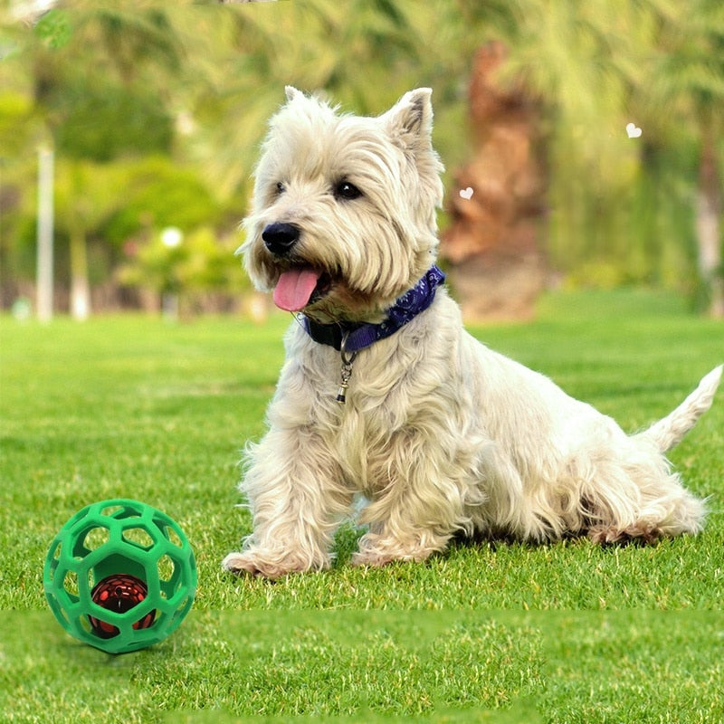 Balle a friandise pour chien chien avec la balle verte