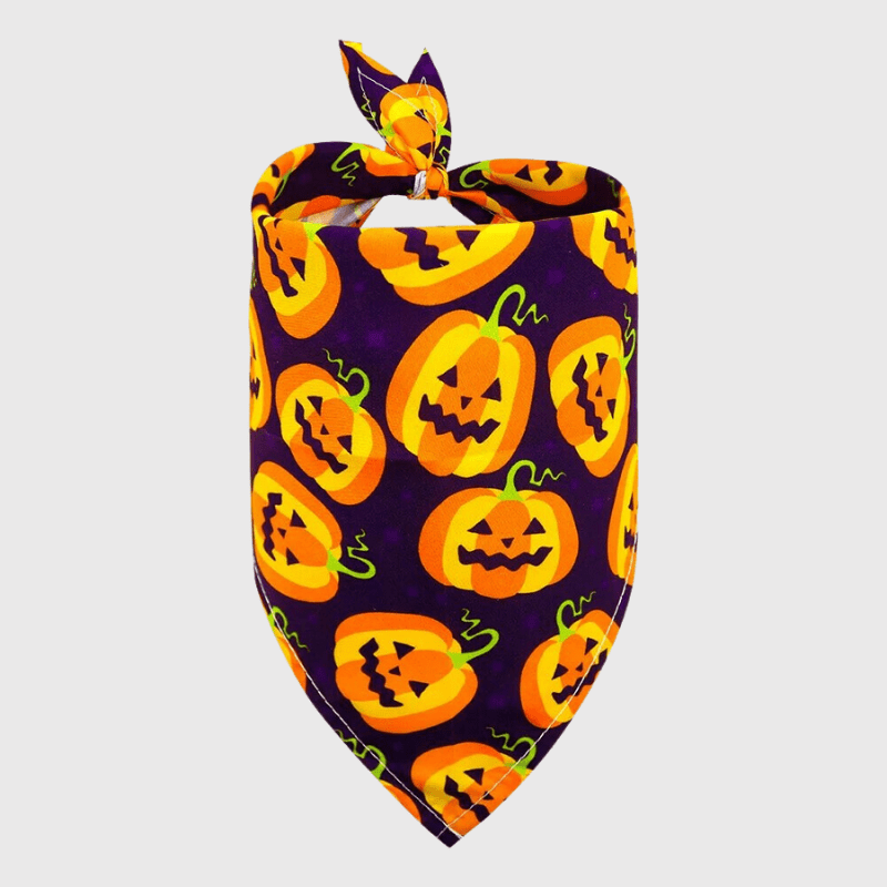 Bandana pour chien Halloween grosse citrouille