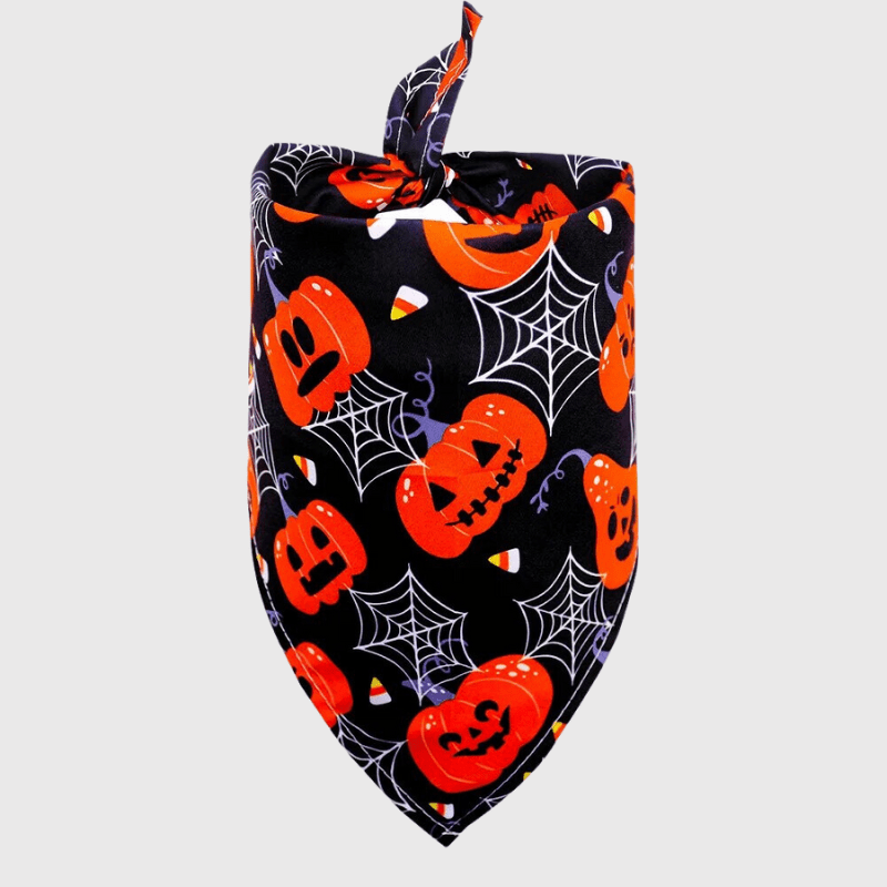 Bandana pour chien Halloween gris