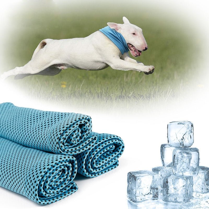 Bandana rafraichissant pour chien modele chien