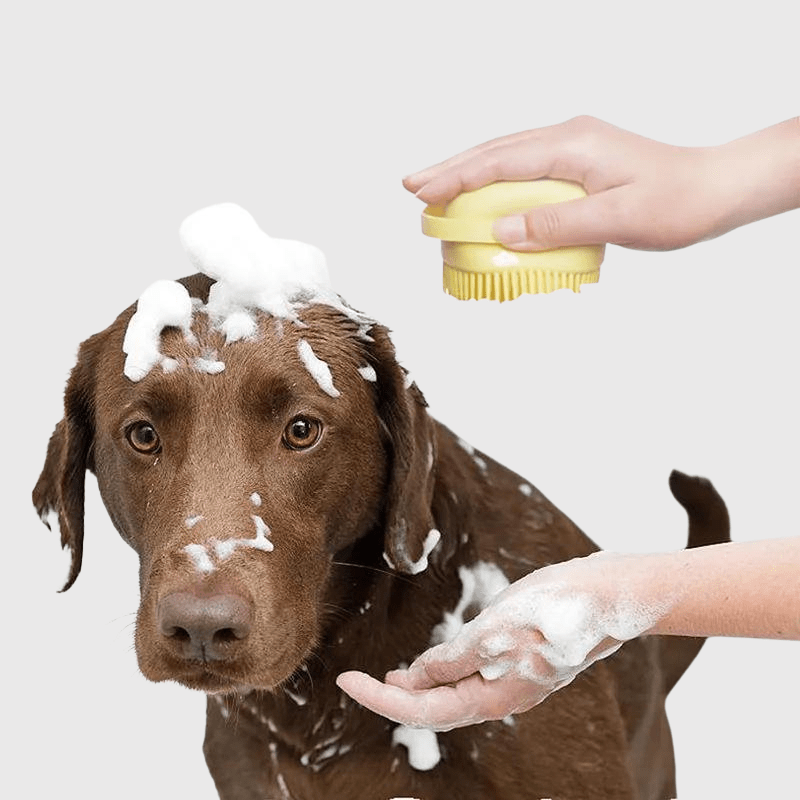Brosse de bain pour chien carré labardor