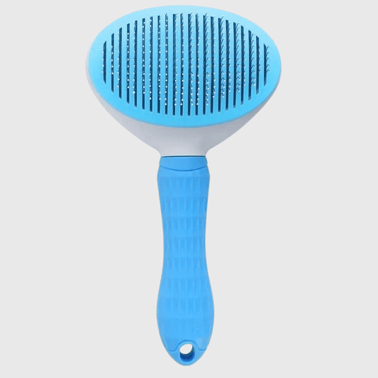 Brosse push ronde pour chien bleu