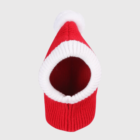Cagoule a pom-pom pour chien zoom