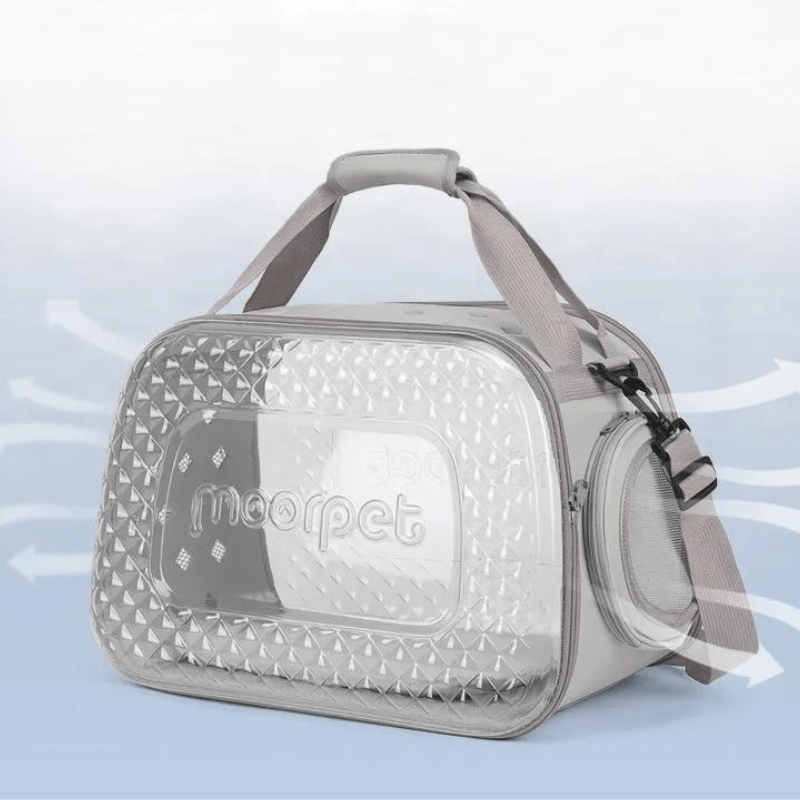 Caisse de transport transparente pour chien respirant