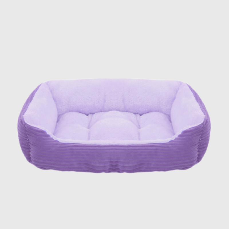 Canape lit pour chien violet