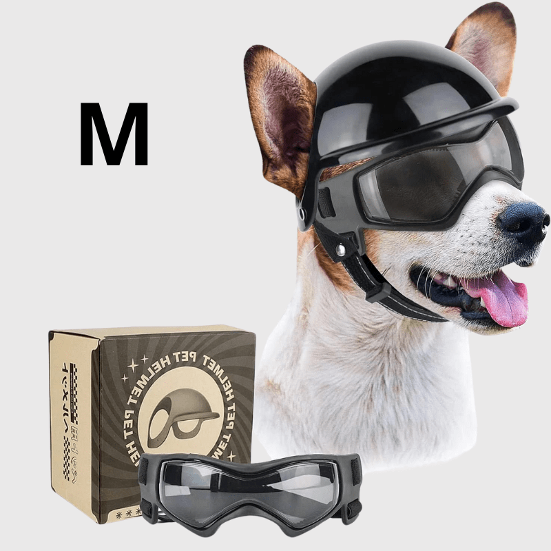 Casque de moto Noir pour chien ensemble jack russel