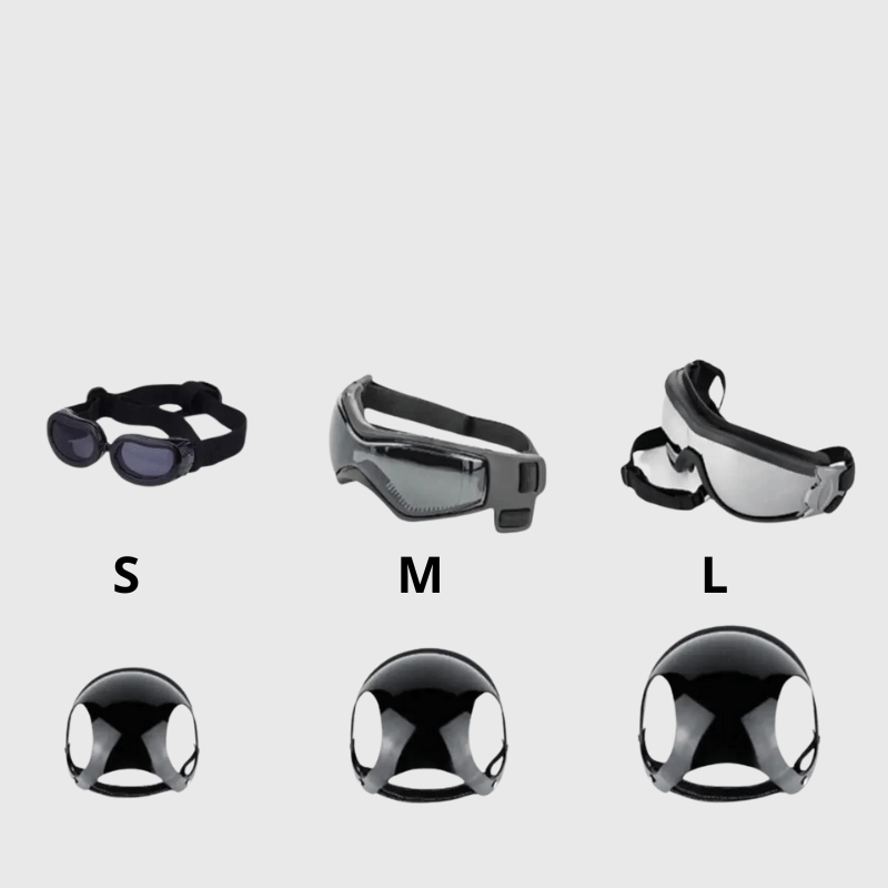 Casque de moto Noir pour chien lunette