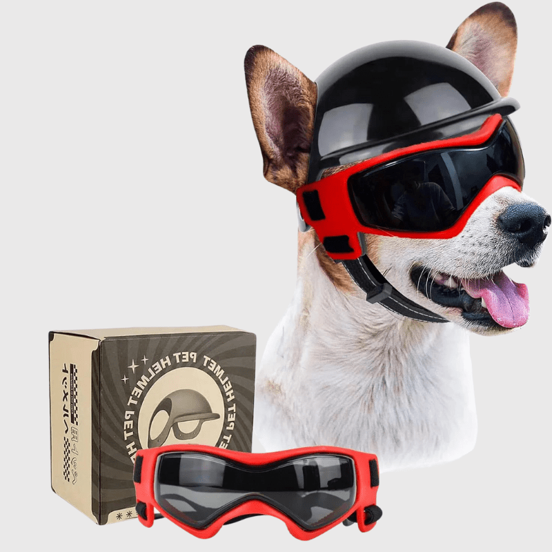 Casque de moto Noir pour chien rouge