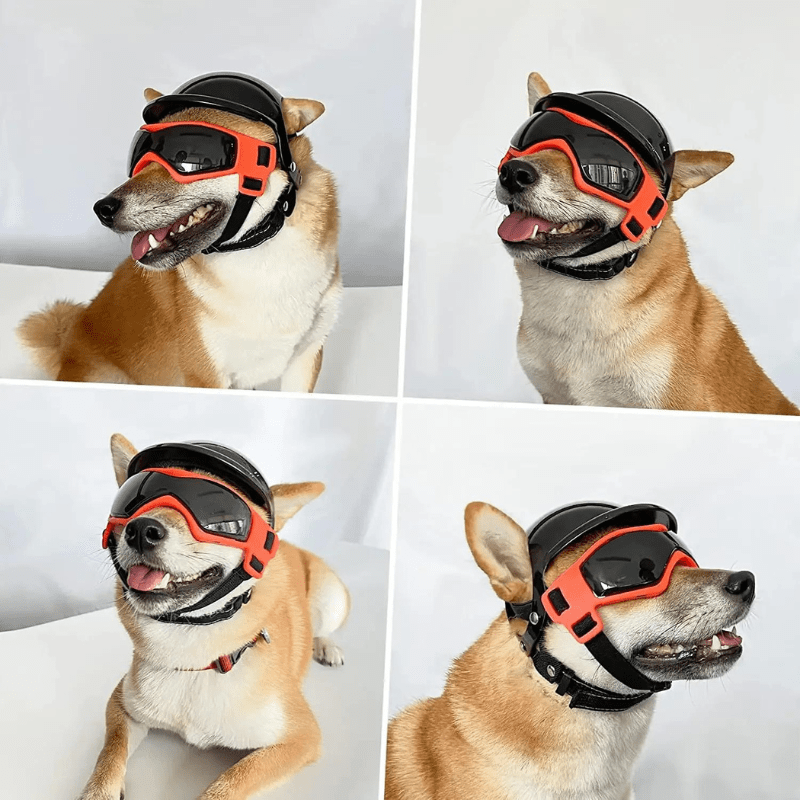 Casque de moto Noir pour chien shiba