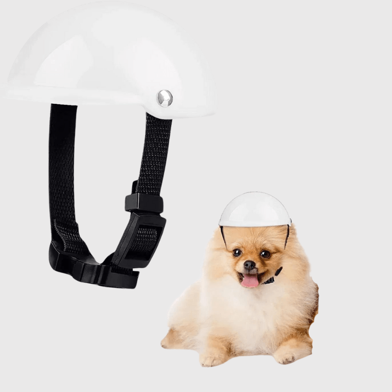 Casque de moto blanc ou noir ou rose pour chien blanc