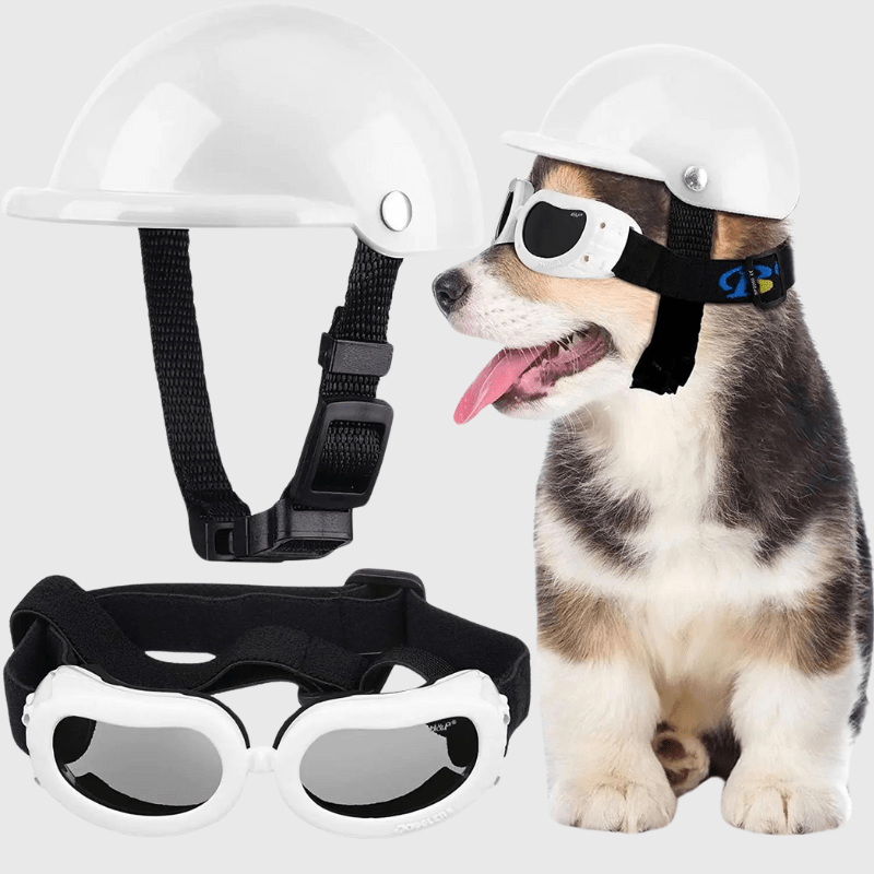 Casque de moto blanc ou noir ou rose pour chien blanc avec lunette