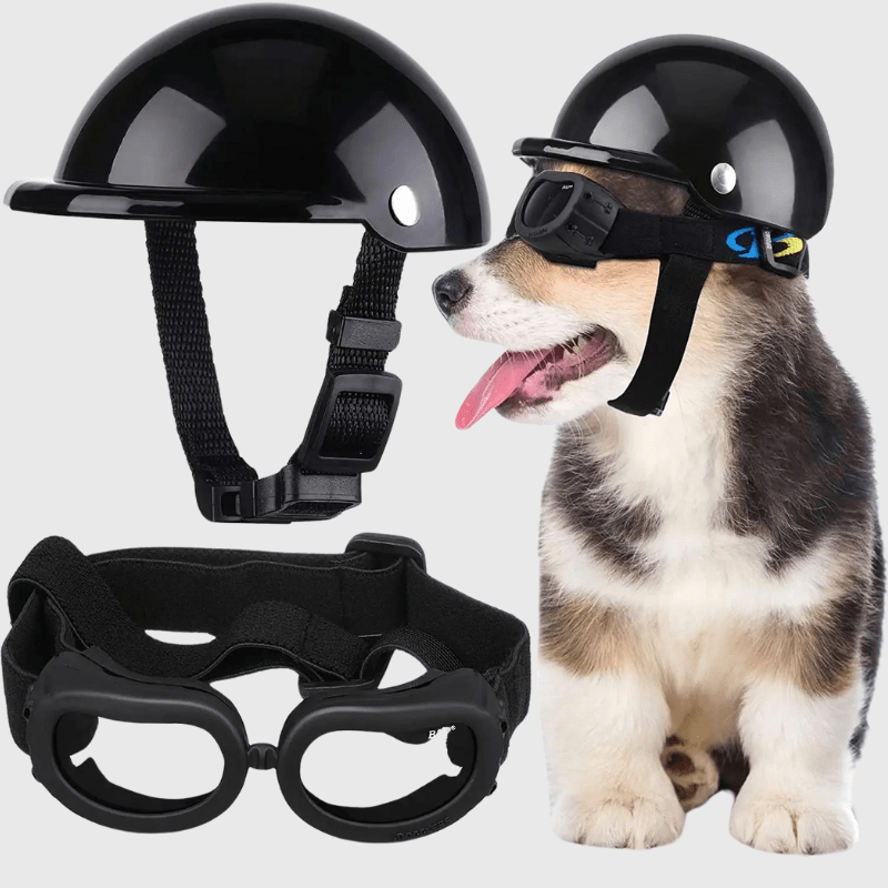Casque de moto blanc ou noir ou rose pour chien noir