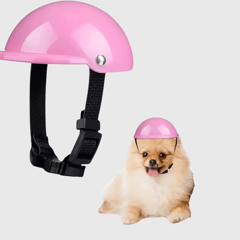 Casque de moto blanc ou noir ou rose pour chien rose