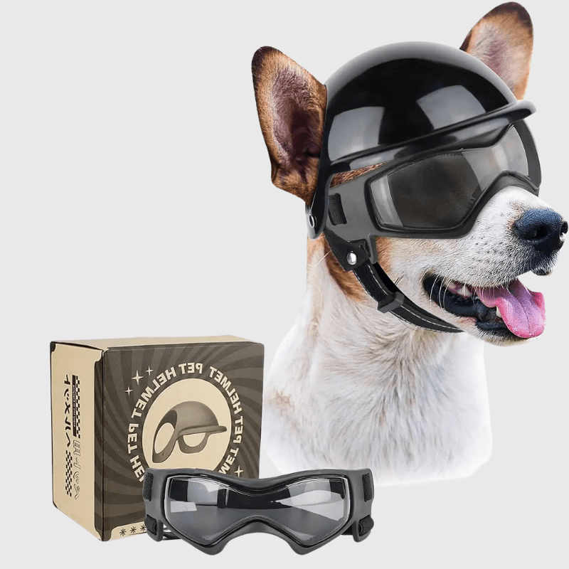 Casque de moto chien avec des lunettes Colorés noir