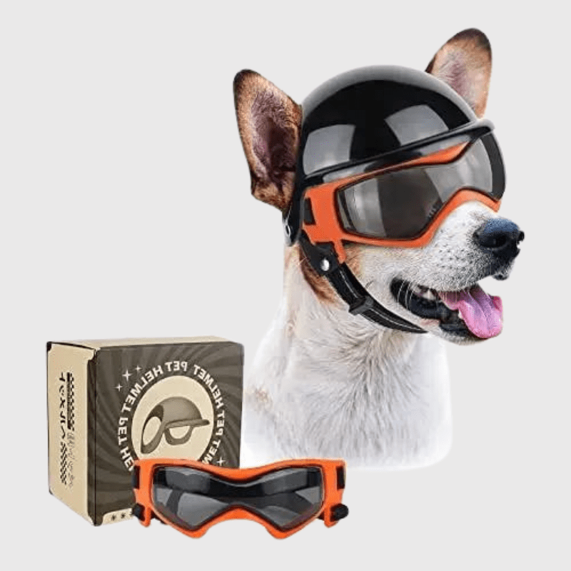 Casque de moto chien avec des lunettes Colorés orange