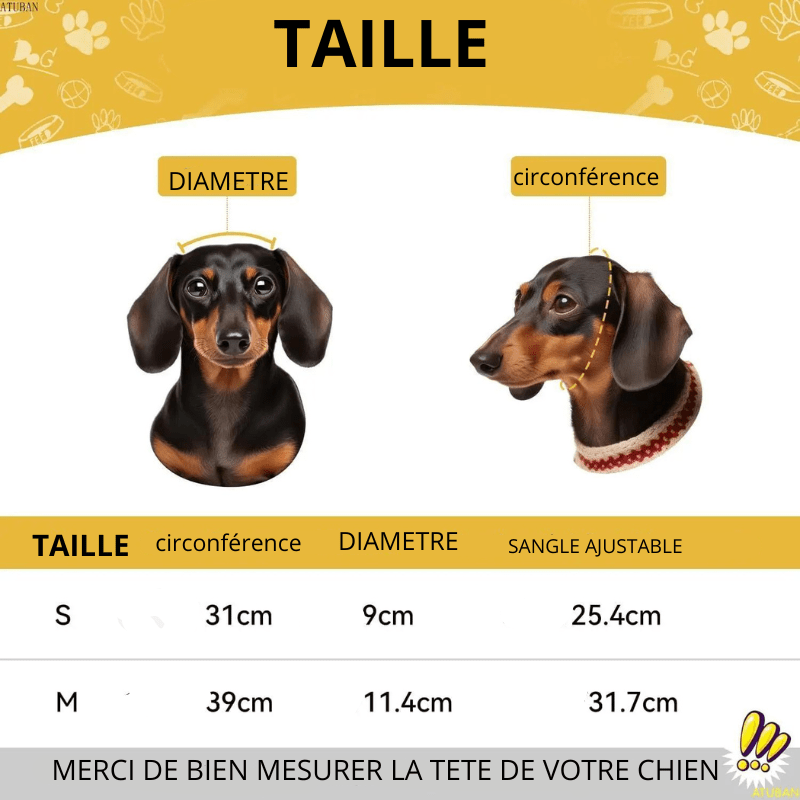 Casque de moto pour petit chien taille