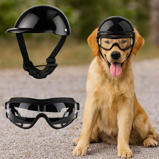 Casque et lunette de moto Noir pour chien