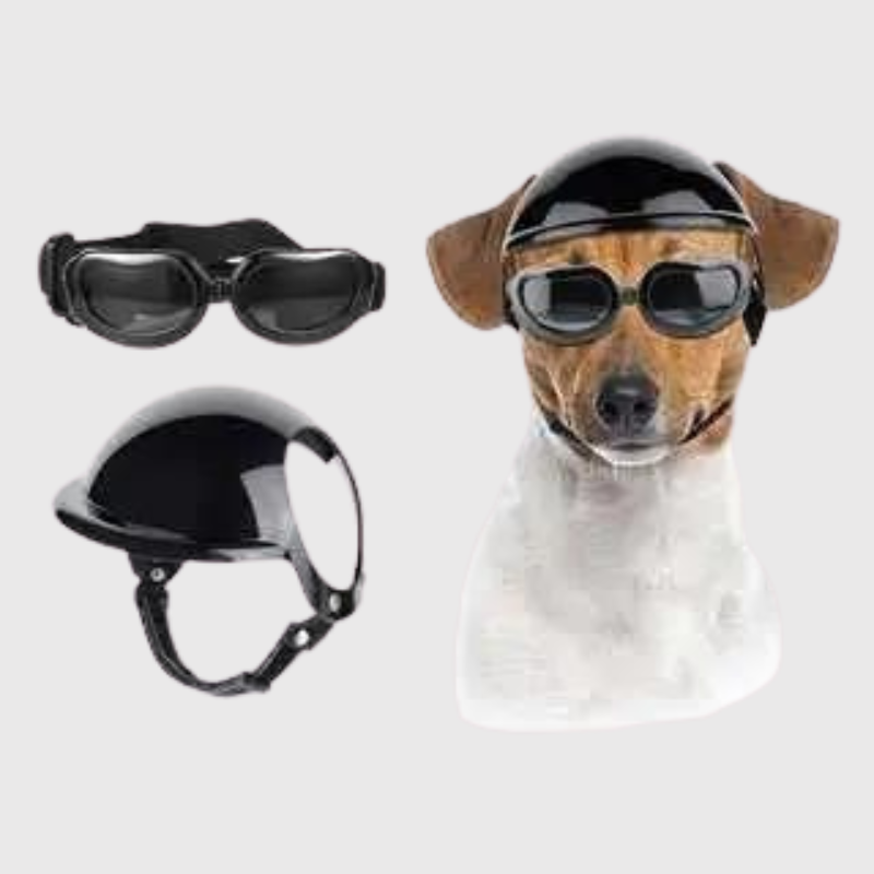 Casque et lunette moto pour chien noir