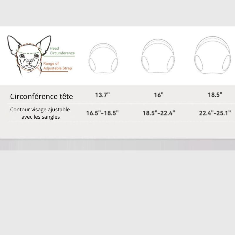 Casque et lunette moto pour chien taille