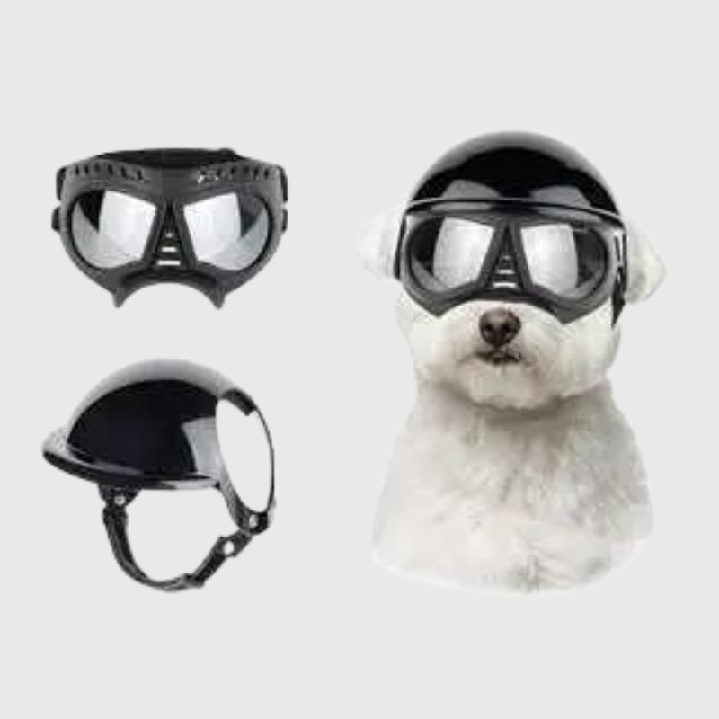 Casque et lunette moto pour chien toutou