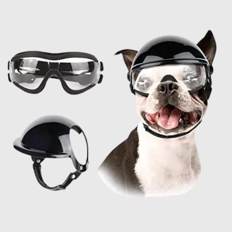 Casque et lunette moto pour chien transparent