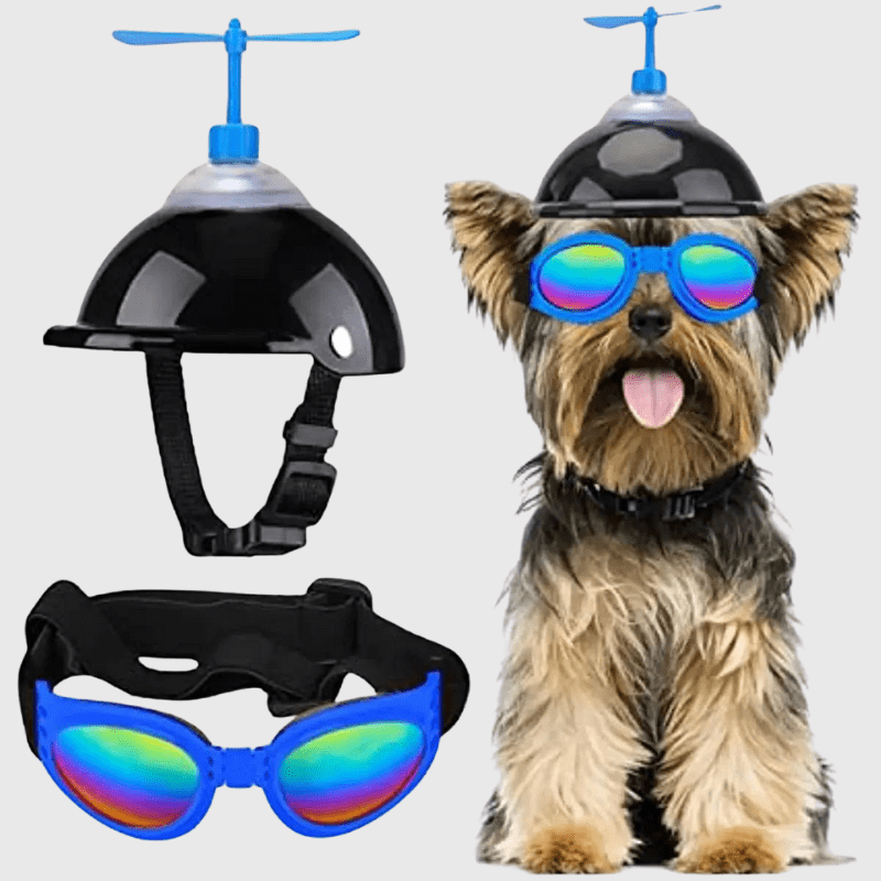 Casque moto cuir vintage pour chien ensemble bleu