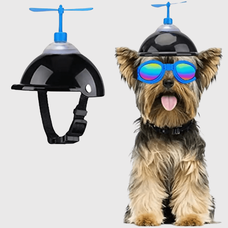 Casque moto cuir vintage pour chien yorkshire