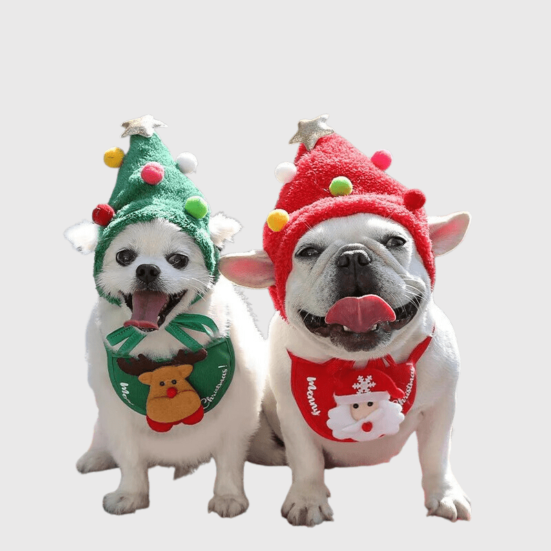 Casquette pour petit chien fête de fin d'année bouledogue