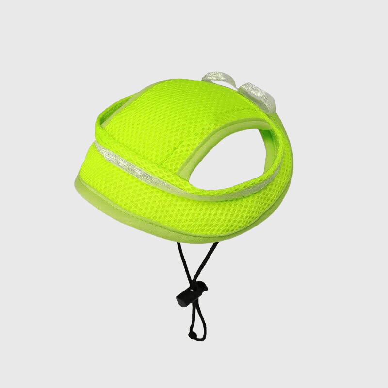 Casquette pour petit chien vert