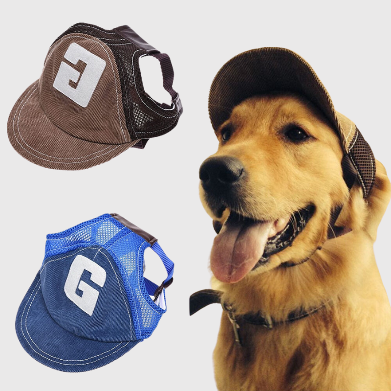 Casquette pour grand chien modele