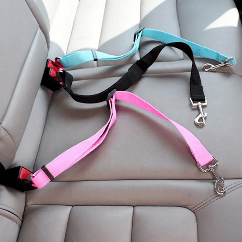 Ceinture chien voiture exemple