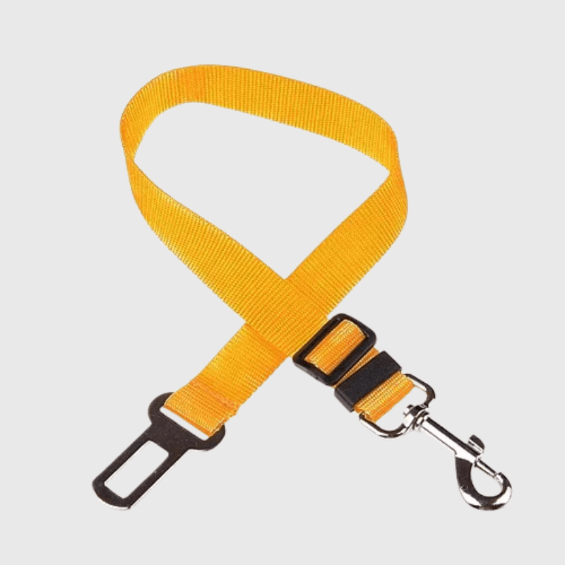 Ceinture chien voiture jaune
