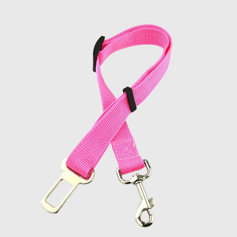 Ceinture chien voiture rose