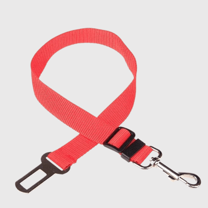 Ceinture chien voiture rouge