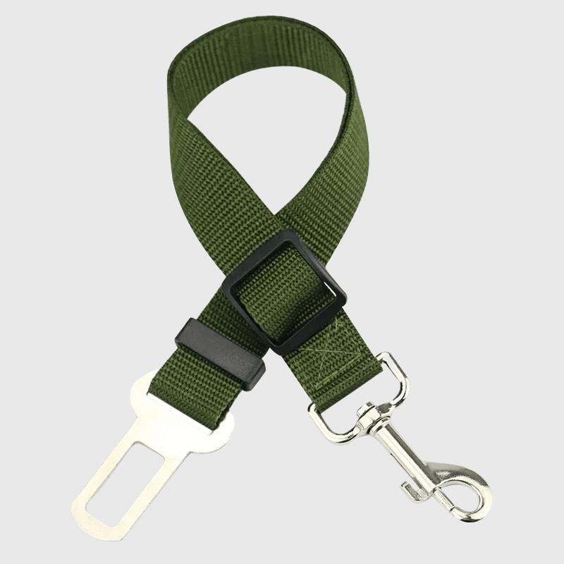Ceinture chien voiture vert foncée