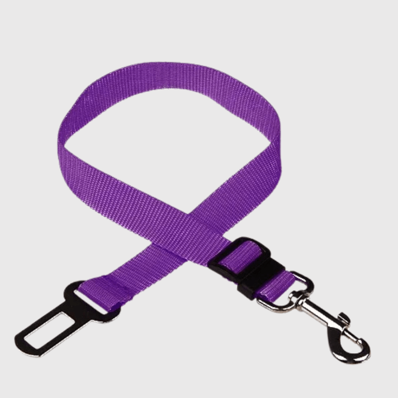 Ceinture chien voiture violet