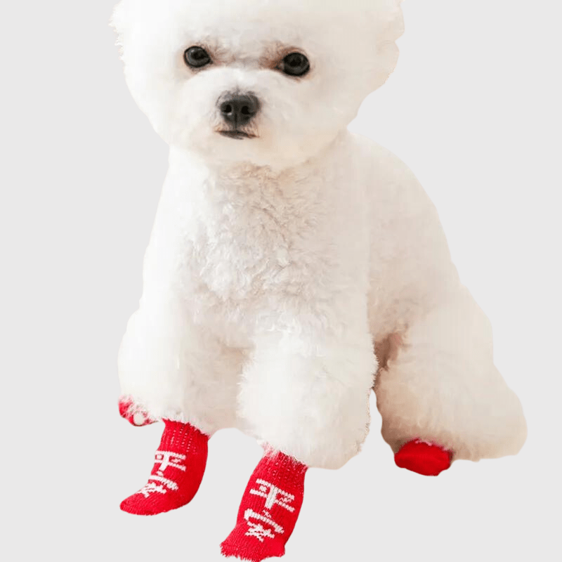 Chaussette Rouge pour chien