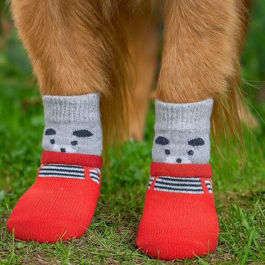 Chaussette imperméable pour chien