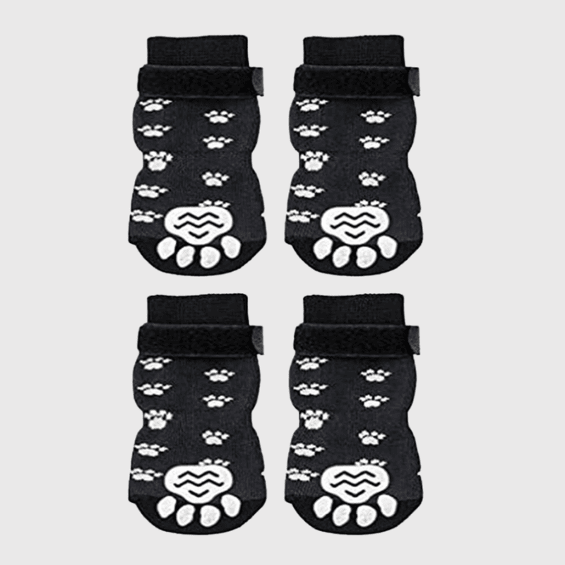 Chaussettes protection pour chien patte de chien