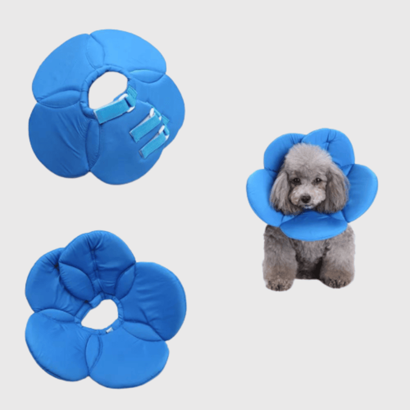 Collerette chien en forme de fleur bleue