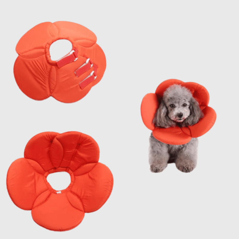 Collerette chien en forme de fleur orange