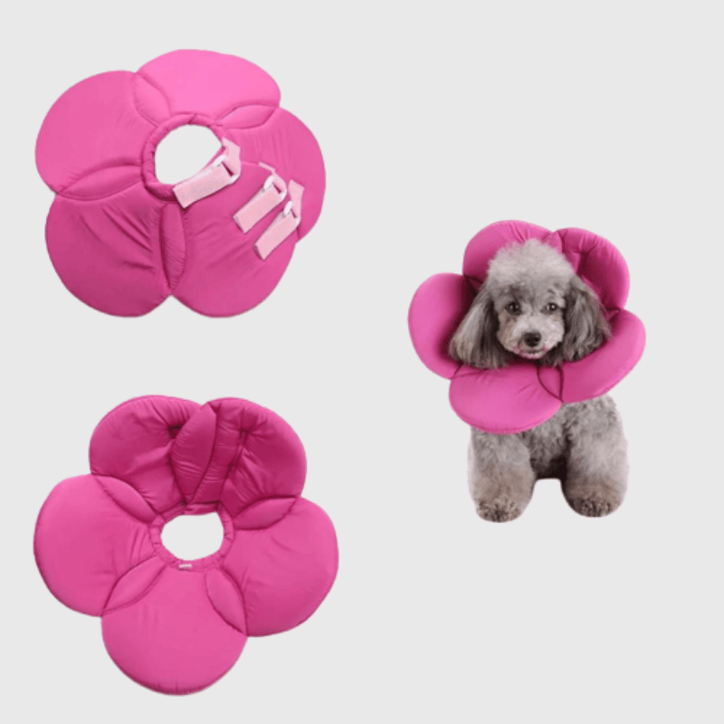 Collerette chien en forme de fleur violette