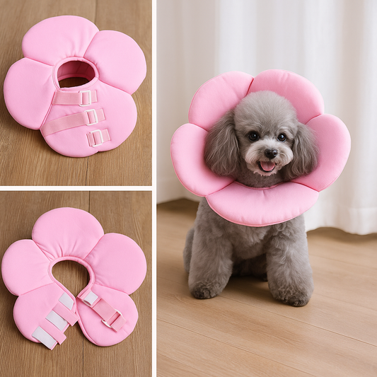 Collerette petit chien caniche