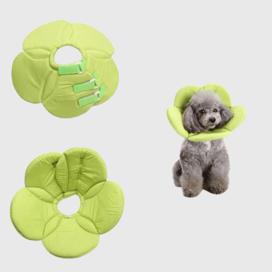Collerette pour chien en forme de fleur verte