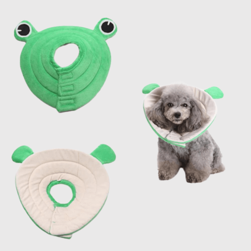 Collerette pour chien en forme de grenouille
