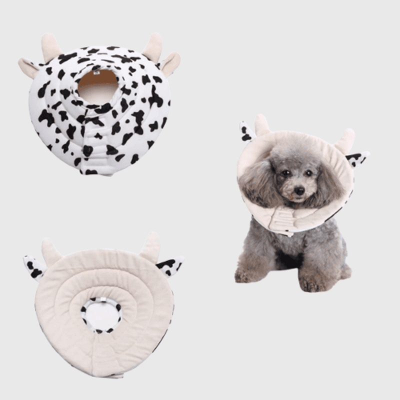 Collerette pour chien en forme de vache